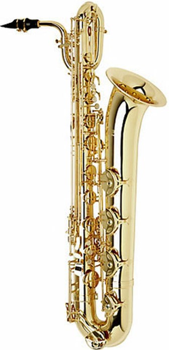 good saxophone on rent kota