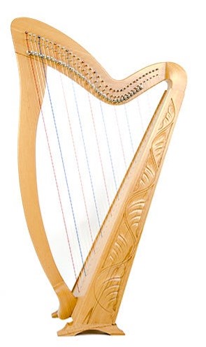 best harp on rent kota